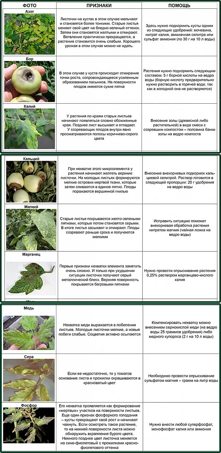 Нехватка микроэлементов у томатов. Таблица нехватки микроэлементов у растений томатов. Определить по листьям чего не хватает помидорам. Нехватка элементов питания у томатов.