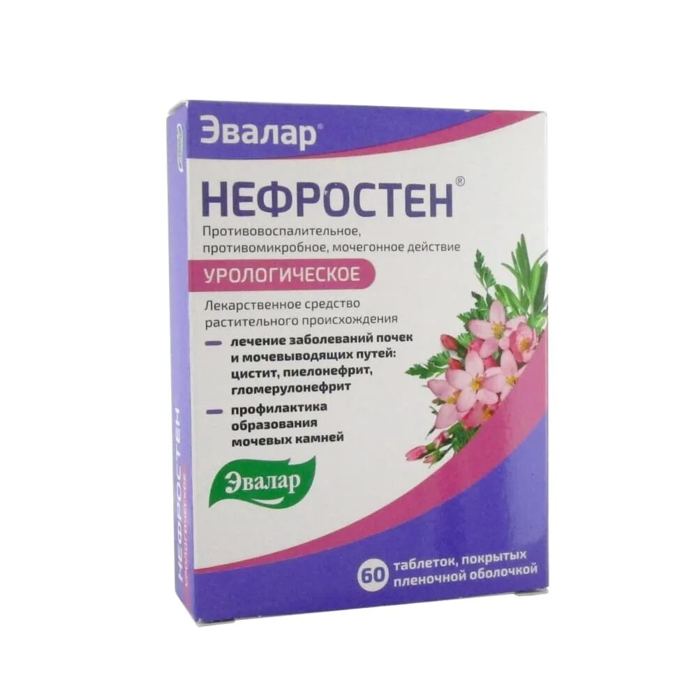 Нефростен эвалар от цистита инструкция по применению. Нефростен таб.п.п.о.№60. нефростен эвалар. нефростен таб №60. нефростен таблетки 60шт.