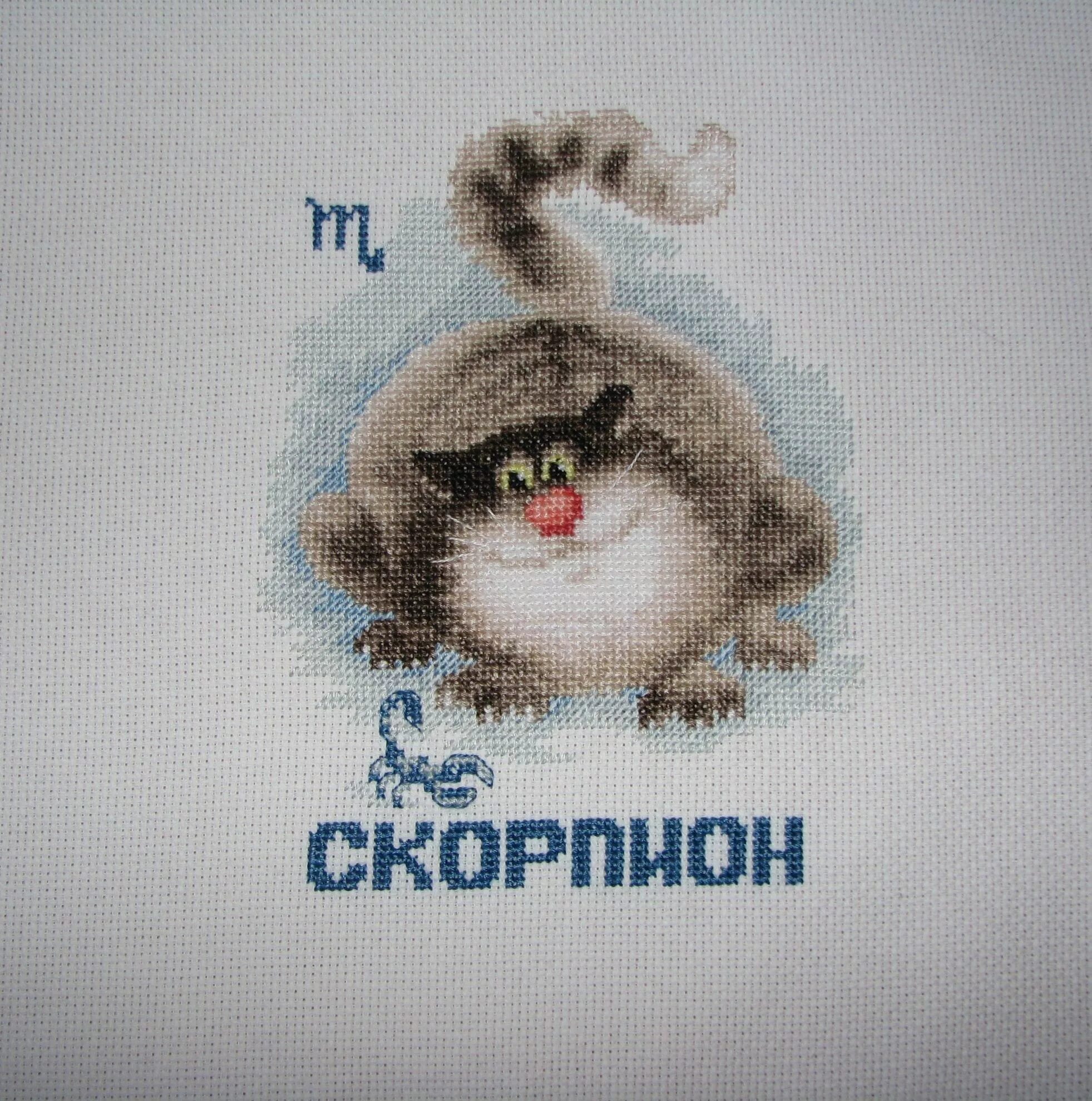 Кот скорпион
