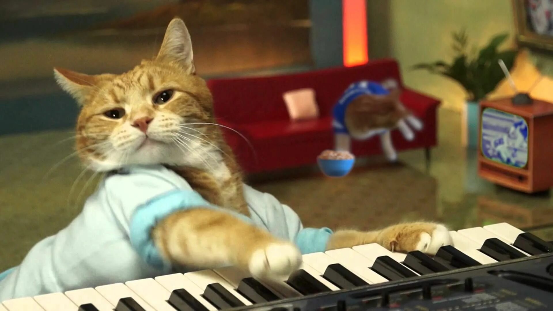 I play with cat. Кейборд Кэт. Кот пианист Бенто. Кот пианист. Кот на пианино.