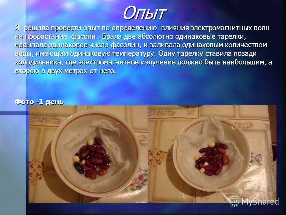 учитель провел опыт две одинаковые. учитель провел опыт две одинаковые. при трение палочка и ткань какие приобоетает заряыжы. палочка и ткань электризуются при трении. учитель проводит эксперимент.