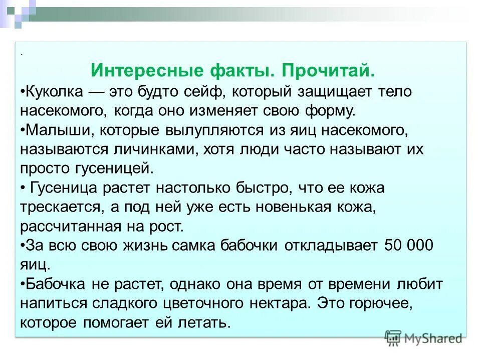 прочитай факты. интересные факты о жизни муравьев. статья о пользе чтения книг. прочитай факты. что значит читать.