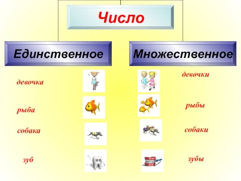Рыбку какое число. Существительные единственного и множественного числа. Единственное и множественное число. Единственное число и множественное число. Единственное и множественное число имен существительных.
