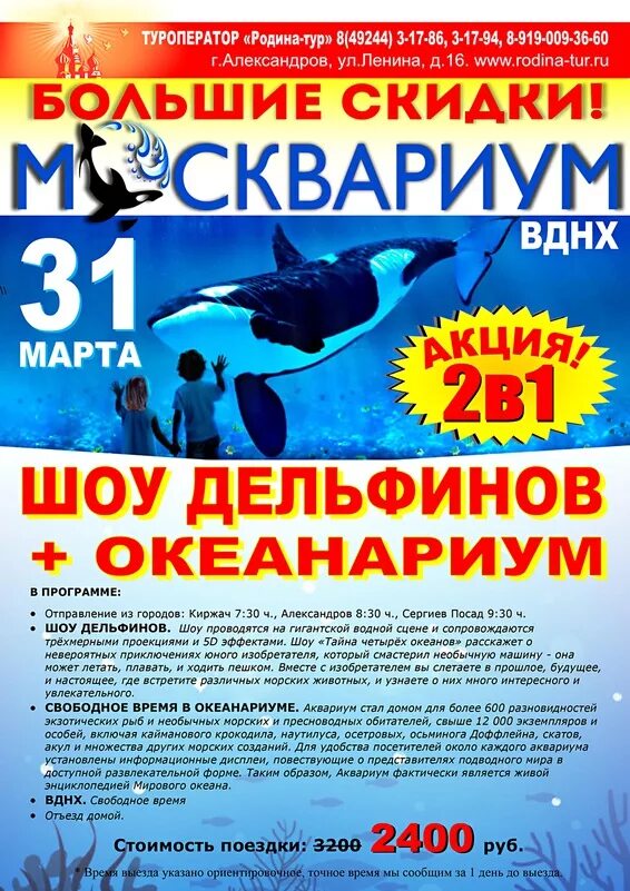 Промокод москвариум март. Москвариум шоу дельфинов. Москвариум афиша. Шоу дельфинов афиша. Океанариум афиша.