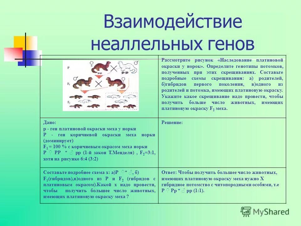 Как определить генотипы родителей и потомства