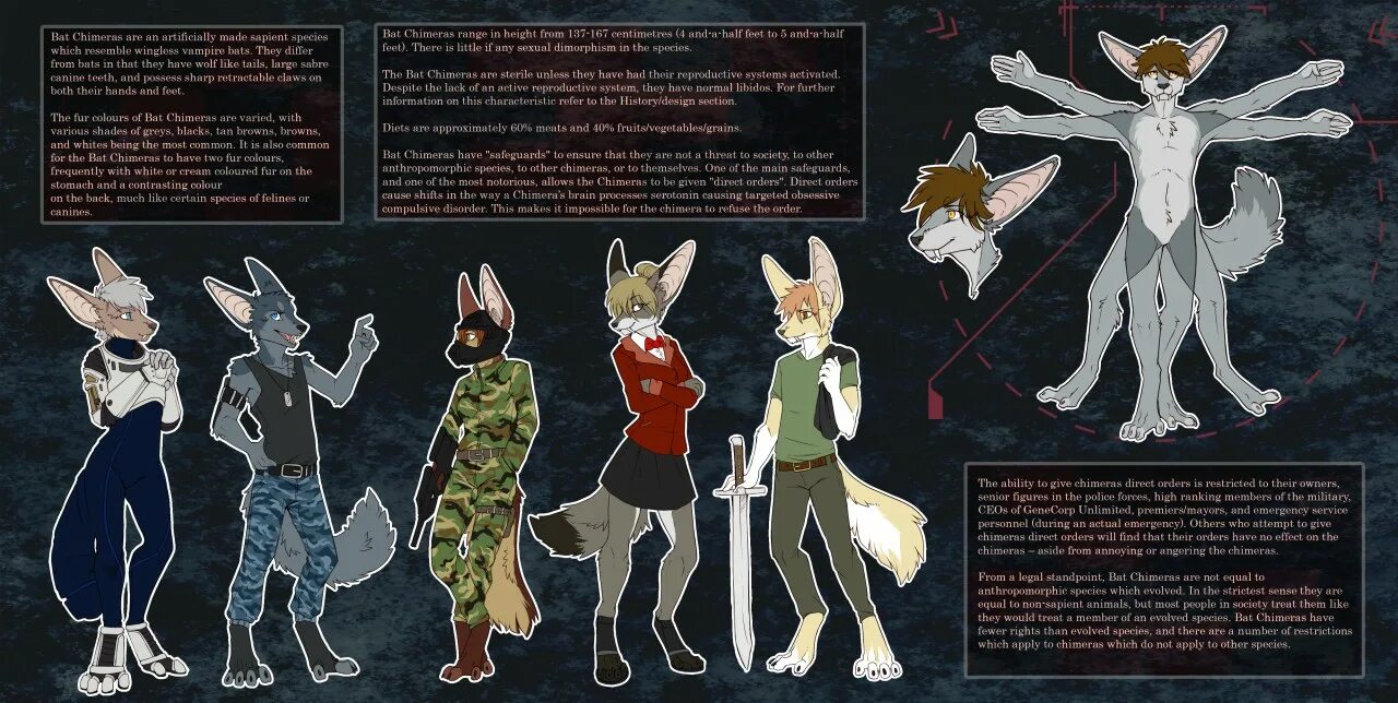 Химера сайт информация. Химера референс. командная химера. merran species sheet. химера директ.