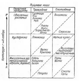 Экологические ниши трех видов форели перекрываются