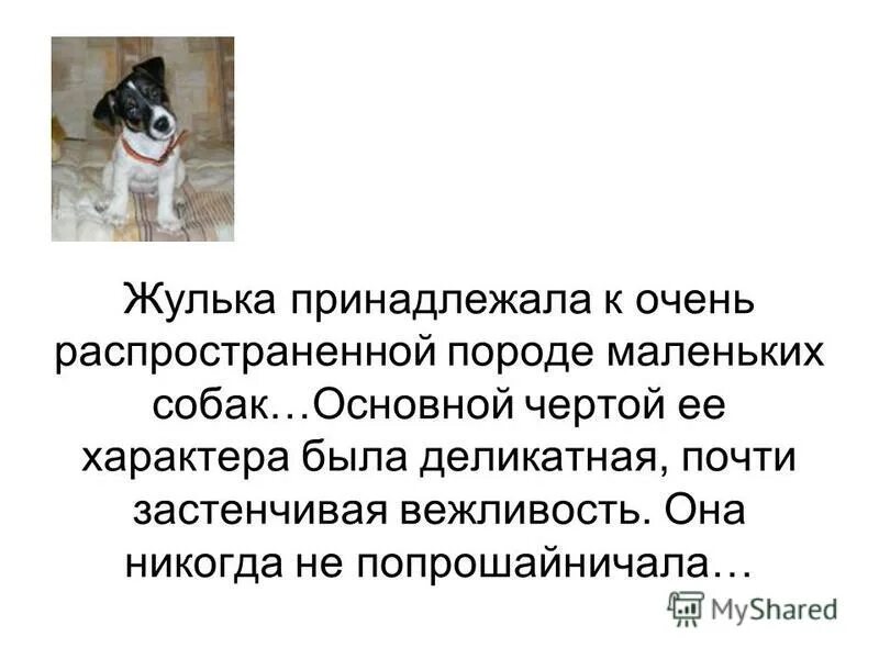 куприн барбос и жулька читательский дневник. отделы тела собаки биология 7 класс. описание барбоса и жульки. рисунок к рассказу барбос и жулька. описание картины друзья.