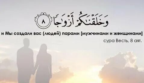Мы сотворили вас парами