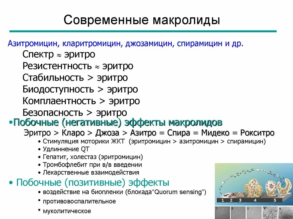 Макролиды резистентность. Макролиды резистентность