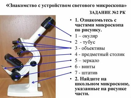 Почему световой микроскоп называют световым