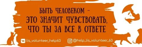 Лис групп