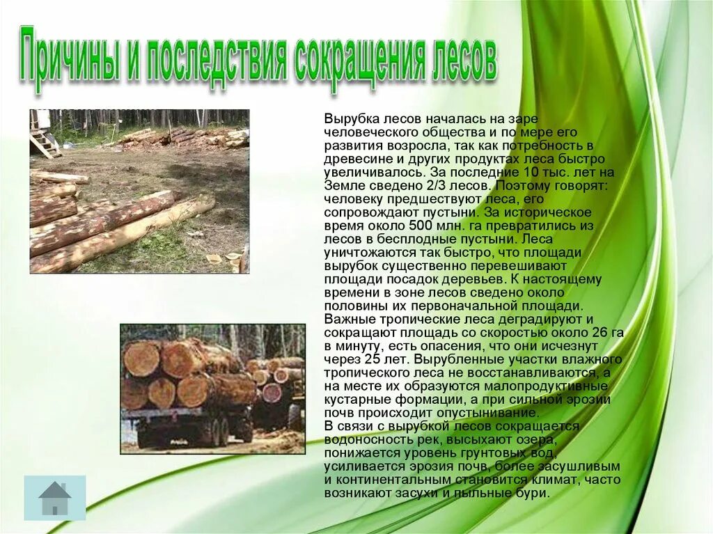 Причины уничтожения лесов. Экология вырубка лесов. Интенсивная вырубка лесов проблемы. Массовое сведение лесов причины. Вырубка лесов в россии.