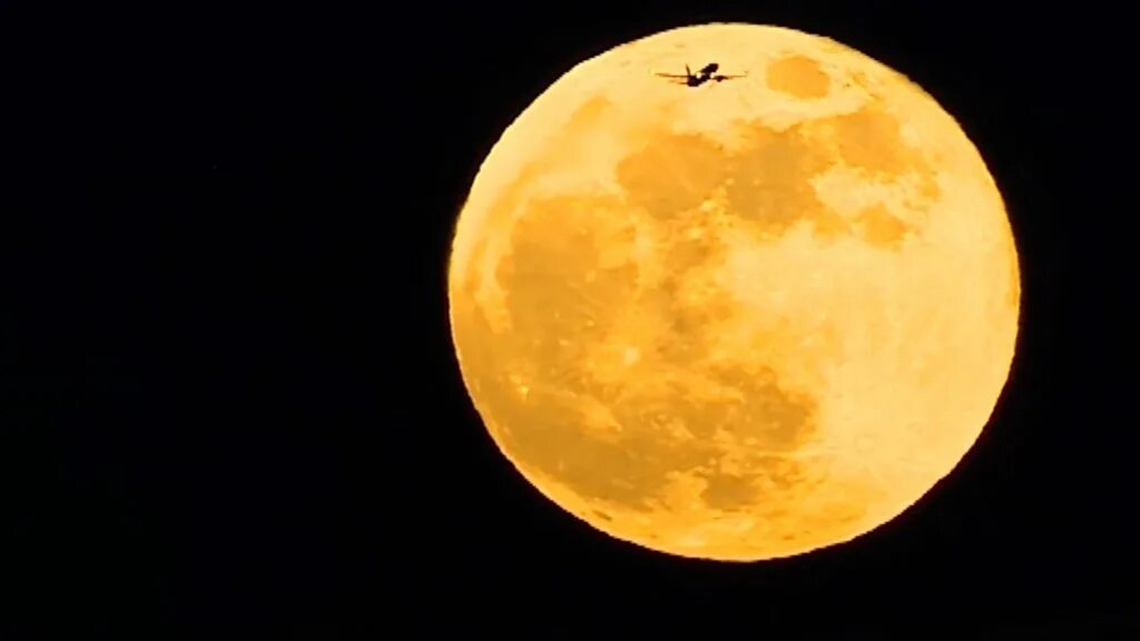Большая оранжевая луна. Оранжевая Луна. Оранжевая Луна на небе. Оранжевая полная Луна. Луна желто оранжевая.