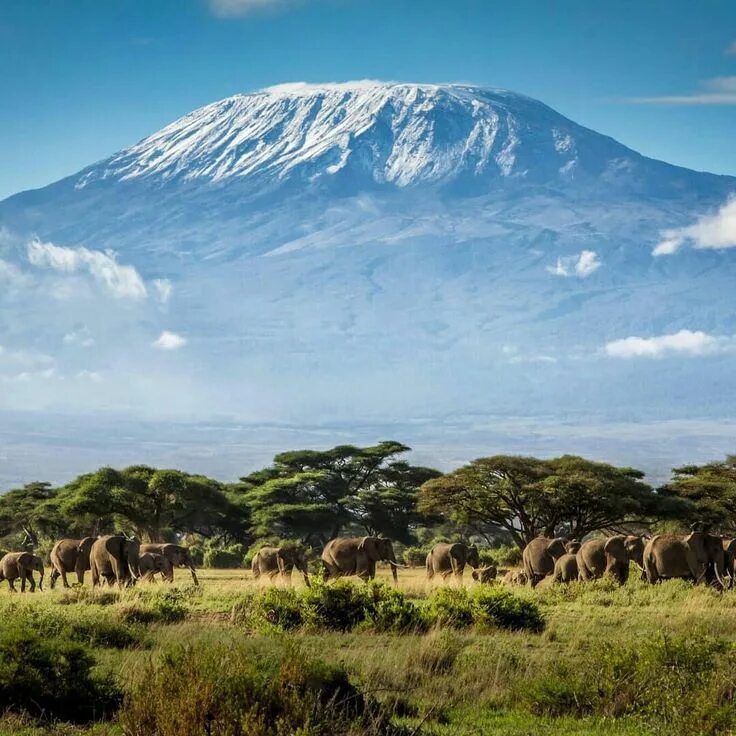 Africa com. Танзания Килиманджаро. Танзания гора Килиманджаро. Вулкан Килиманджаро. Танзания сафари Килиманджаро.