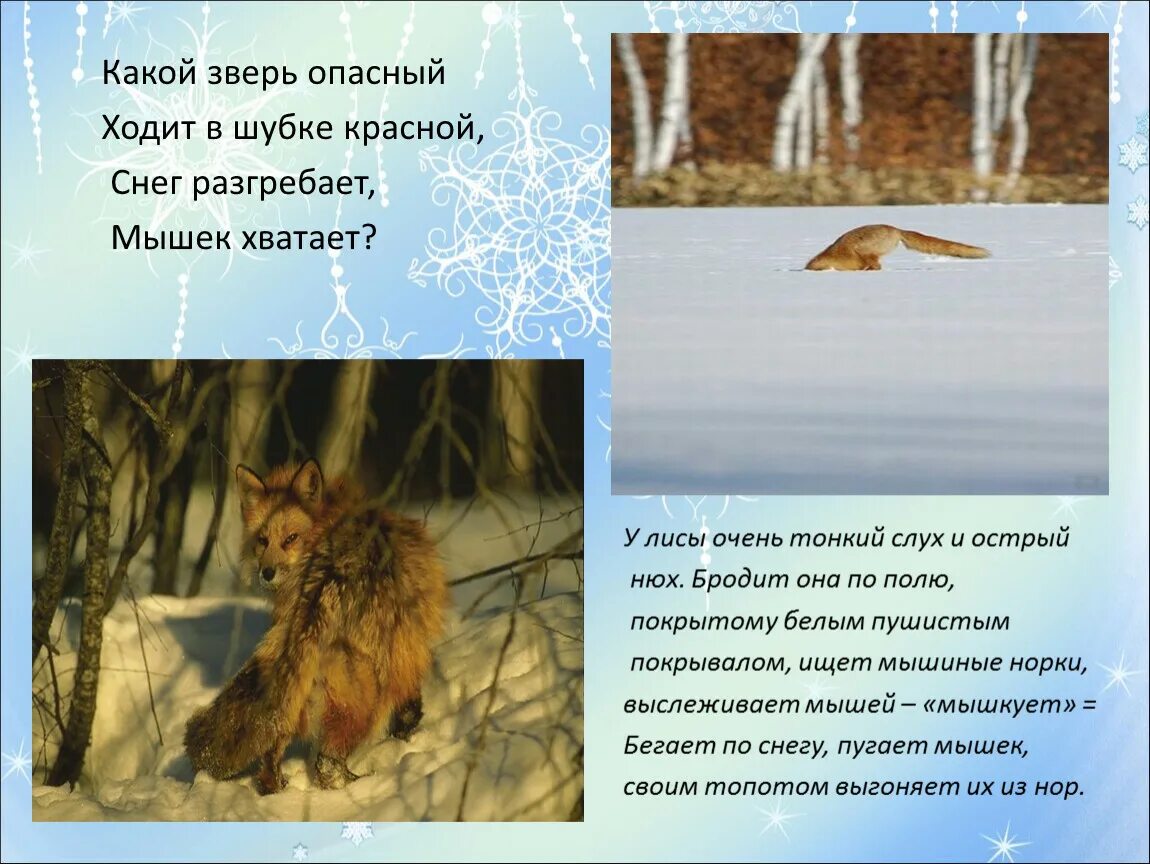 Апрель какое животное