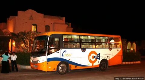 Автобусы каир шарм эль