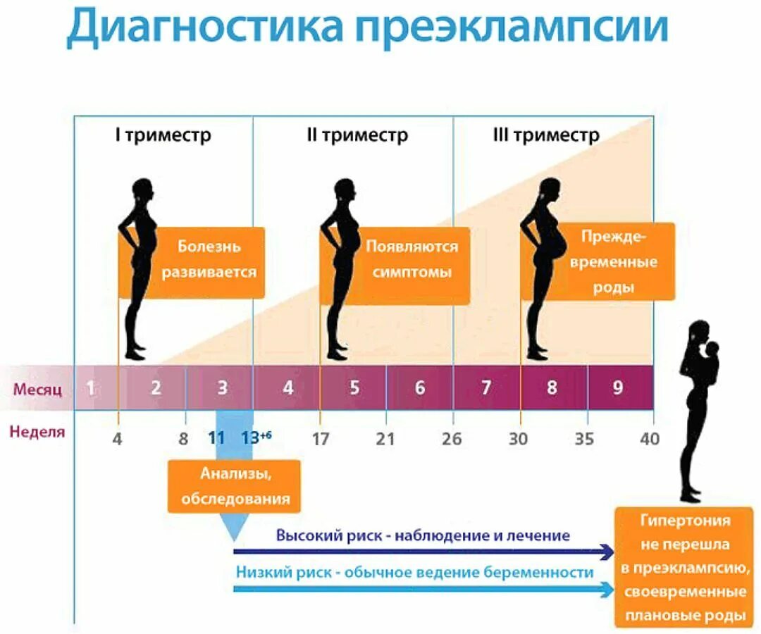 Первый триместр длится. Преэклампсия беременных. Преэклампсия при беременности симптомы. Диагностика преэклампсии. Преэклампсия беременных симптомы.