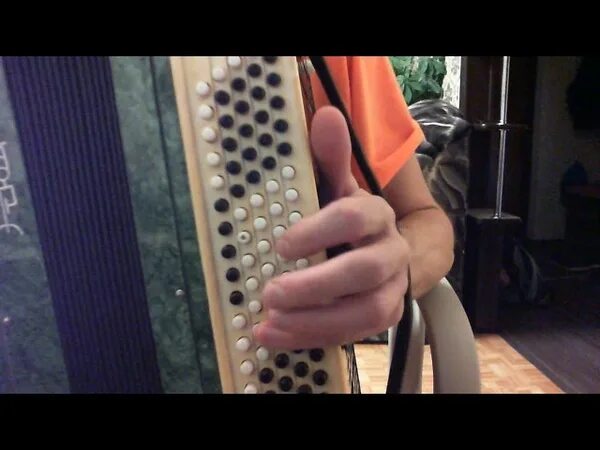 Гитара мясникова с элвисом. Песня мужиков видео. Разборки баянистов. Песня мужиков видео. Песня мужиков видео.