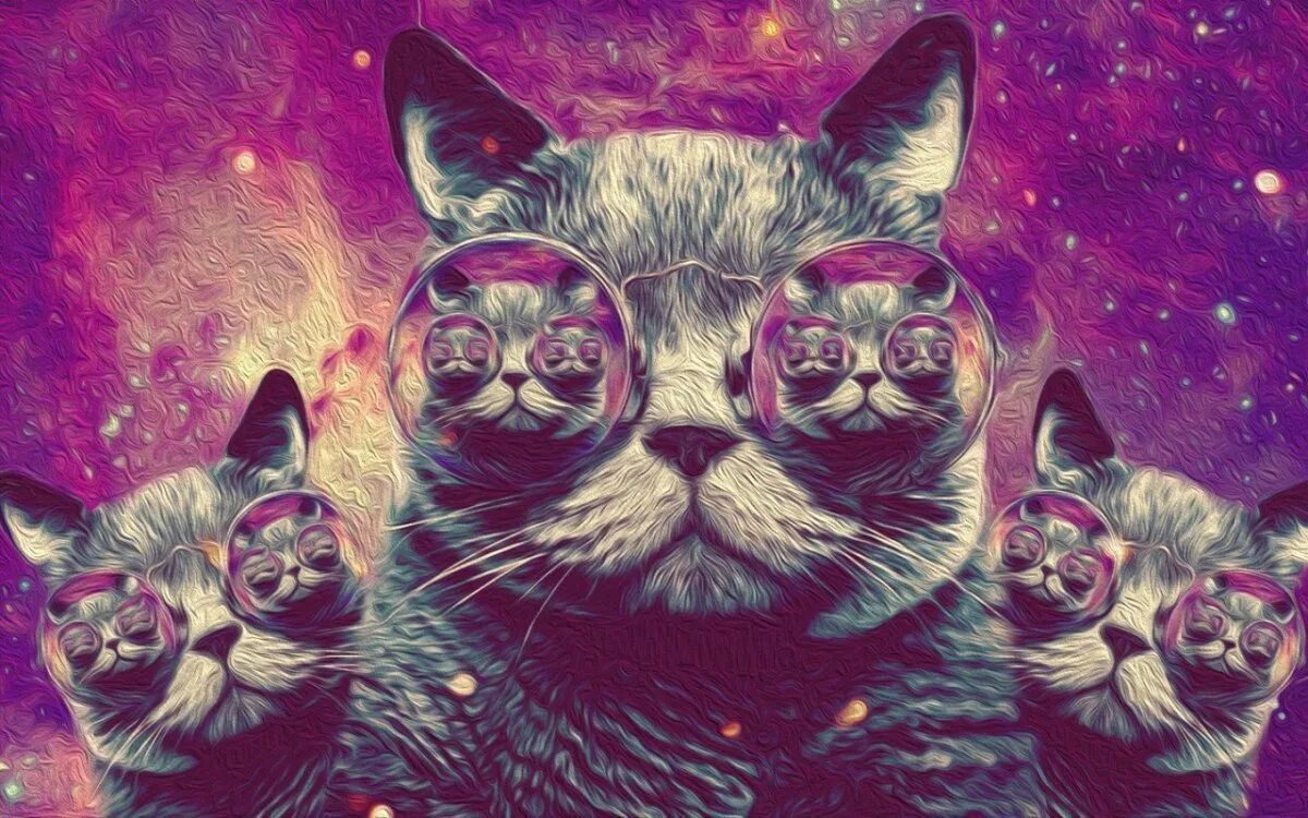 Космический кот. Кот в очках космос. Кот арт. Крутые котики. Самые красивые обложки