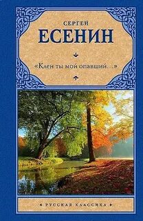 Романс есенина клен ты мой опавший