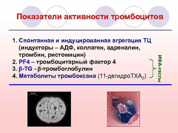 Адф тромбоцитов. Спонтанная агрегация тромбоцитов.