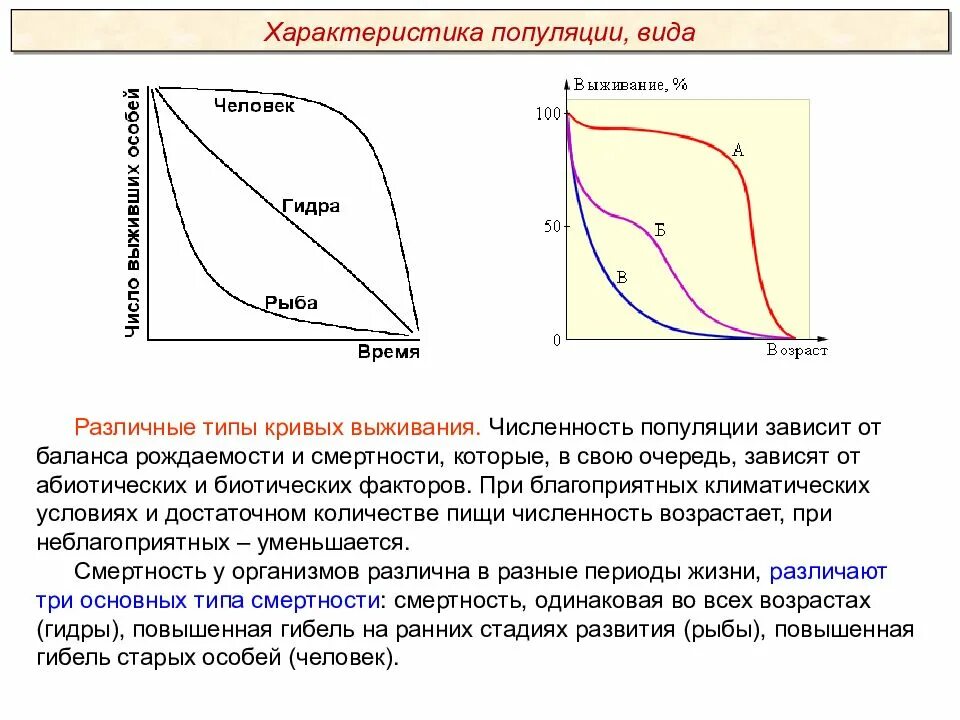 Типы кривых. Виды кривых на графиках. тип кривой. виды кривой.