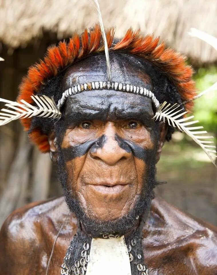 Папуа-новая Гвинея племя яли. Папуасские вожди. Папуа новая Гвинея Папуасы. Племя папуасов новая Гвинея. Племя гвинея