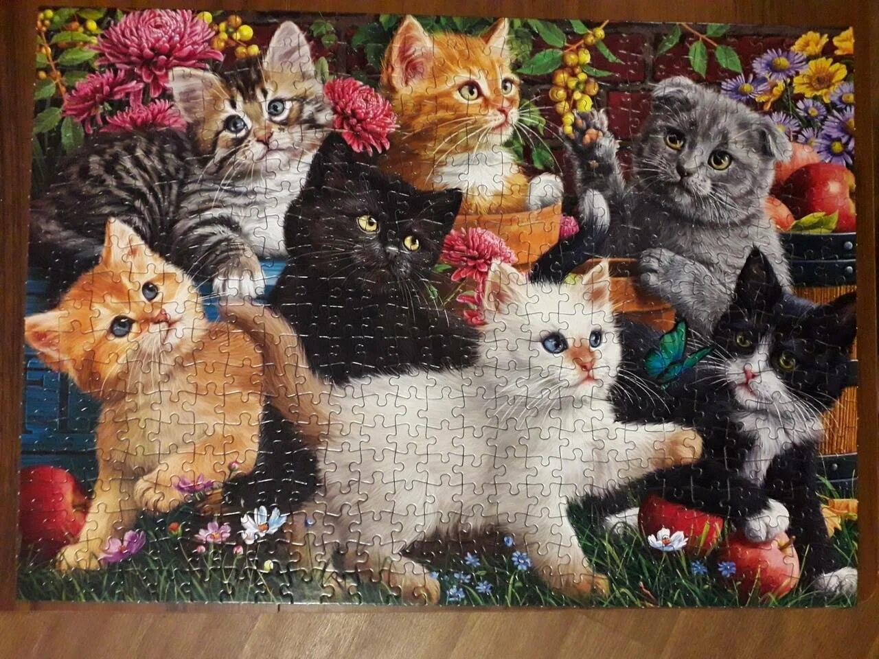 Пазл 500 деталей. Пазл castorland кошки-мышки, 1500 эл. Пазлы котята. Пазлы котята. Пазлы с котами для детей.