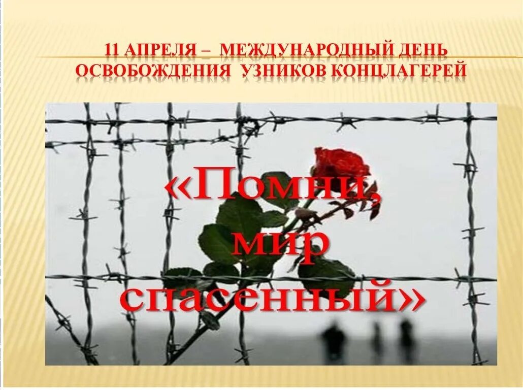 11 Международный день освобождения узников фашистских концлагерей. 11 Апреля 1945 день освобождения узников фашистских лагерей. 11 Апреля день памяти жертв фашистских концлагерей. Международный день узников фашистских концлагерей 11 апреля. День освобождения фашистских лагерей