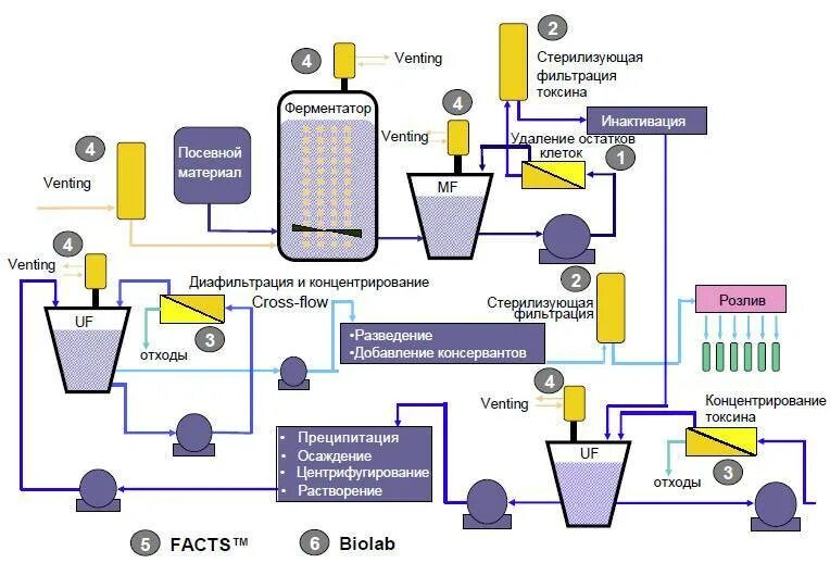 Технология вакцин. Технологическая схема производства вакцин и сывороток.. Технологическая схема культивирования микроводорослей. Технологическая схема производства стрептомицина. Технологичекая Хема производства вакцин.