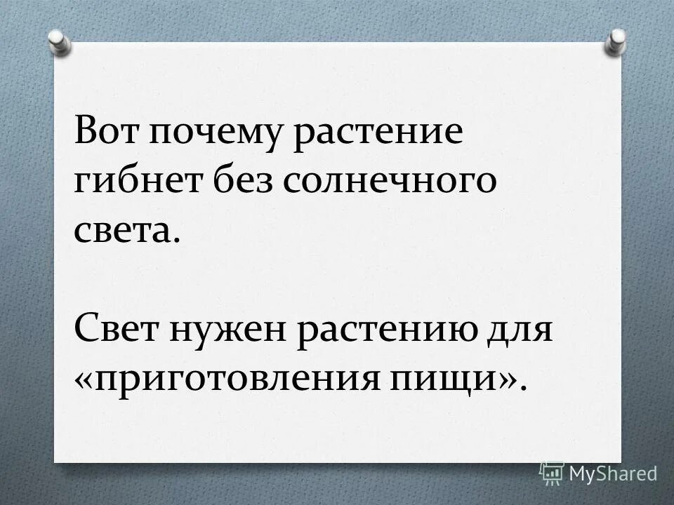 Почему растения гибнут