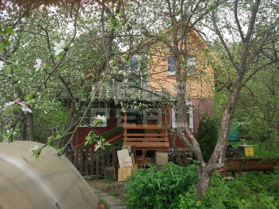 дача егорьевское шоссе. снт в россии. дача егорьевское шоссе. елино московская область. дача егорьевское шоссе.