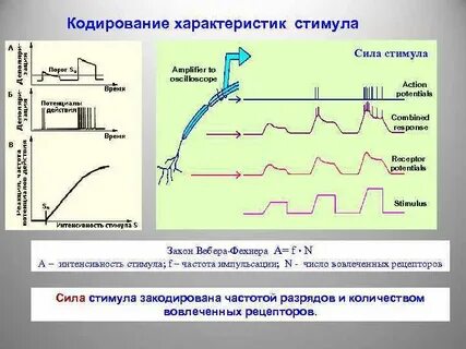 Кодирование времени