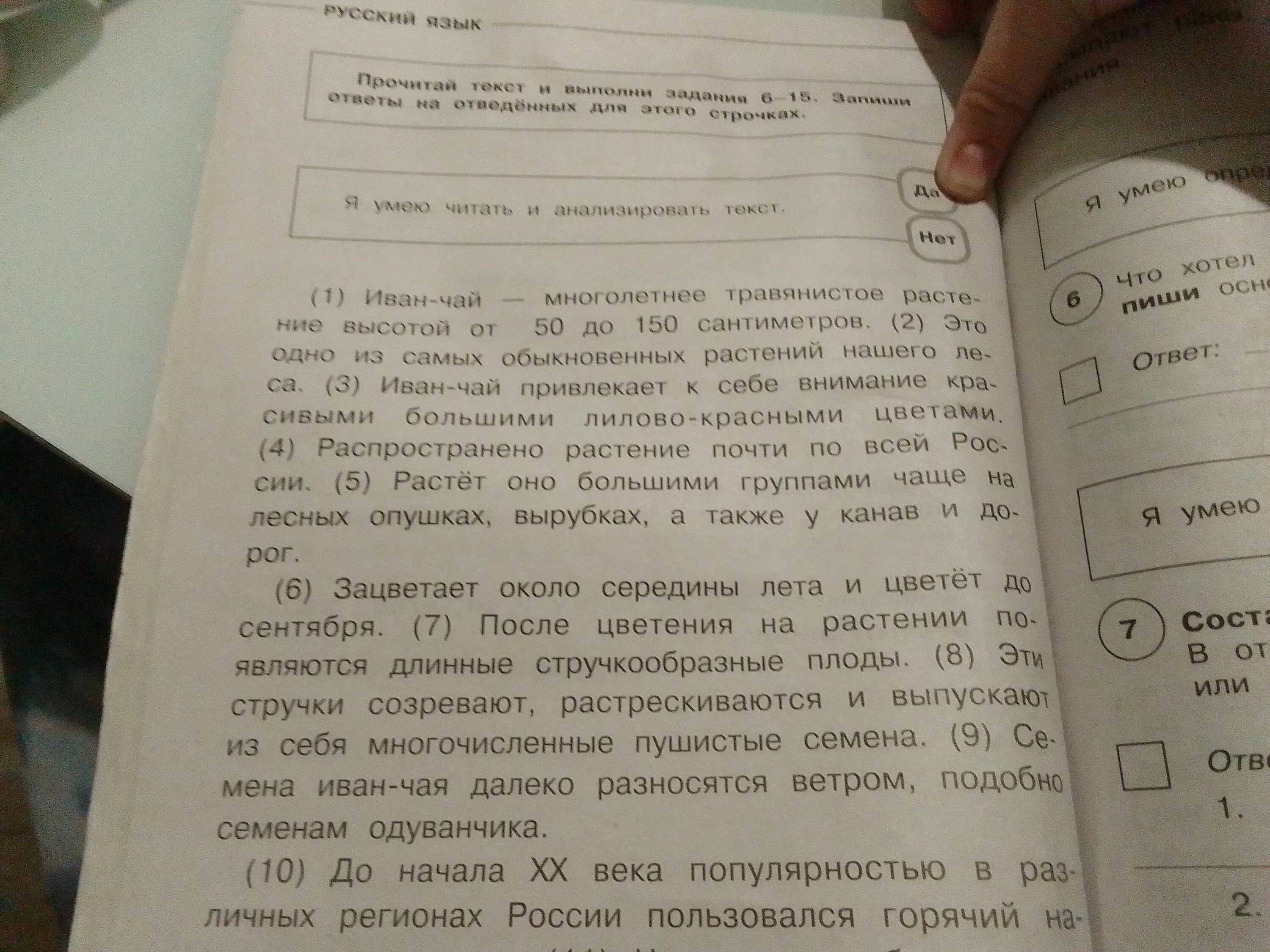 Определите и запишите основную мысль текста. Основная мысль текста 5 класс ВПР. Определите и запишите основную мысль текста 2. Что хотел сказать Автор определи и запиши основную мысль текста. Определите основную мысль текста в небольшом муравейнике