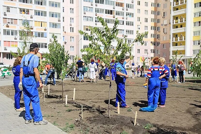 Общественные работы москва