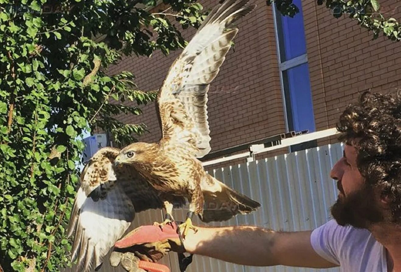 Мальчик и птица ростов на дону. Мальчик и птица ростов на дону. Детская фотосессия с голубями. Мальчик и птица ростов на дону. Парк малинки ростов на дону.