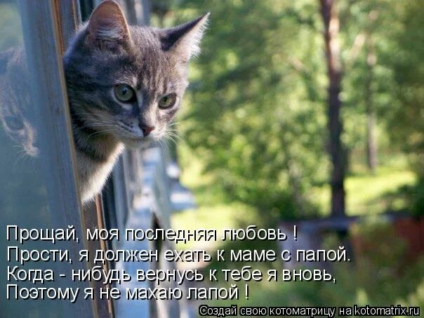 Вернись форум