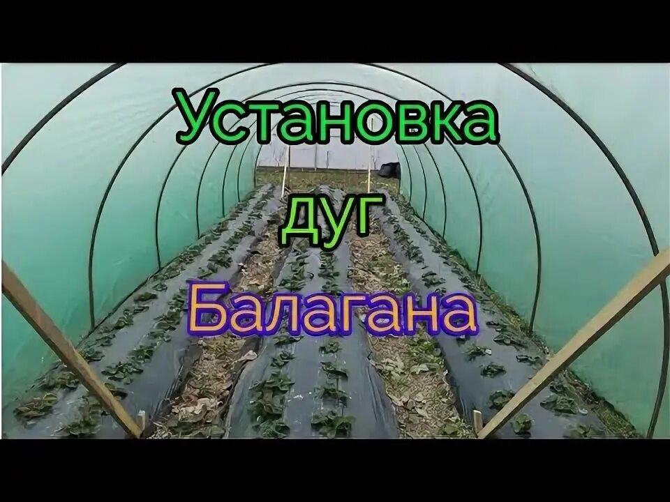 Как установить дуги. Теплица балаган из арматуры. теплицы балаганы для клубники. дуги для балагана. балаган для клубники дуги.