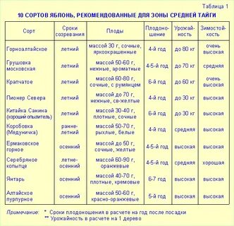 Таблица яблок