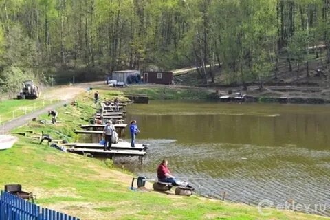 Лагуна еганово платная рыбалка