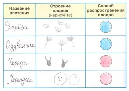 Таблица по окружающему миру 3 класс
