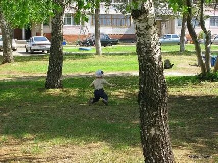 Во дворе гуляют 14 человек мамы