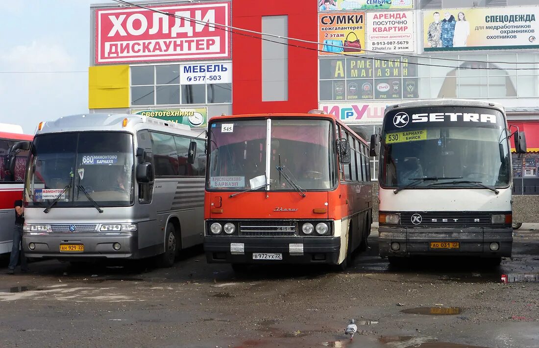 Автовокзал Краснощеково Барнаул\. Автобус Барнаул Краснощеково. Барнаул Алтайский край автостанция. Автобус Мамоново Барнаул. Алтайский край автовокзал автобусов