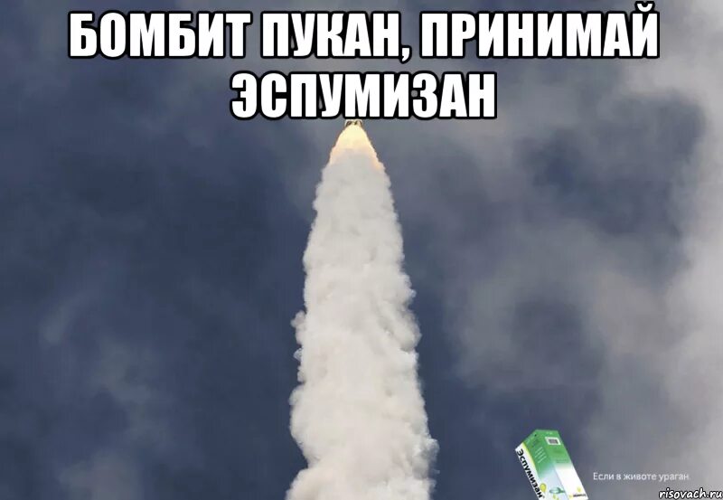 А если не улетели