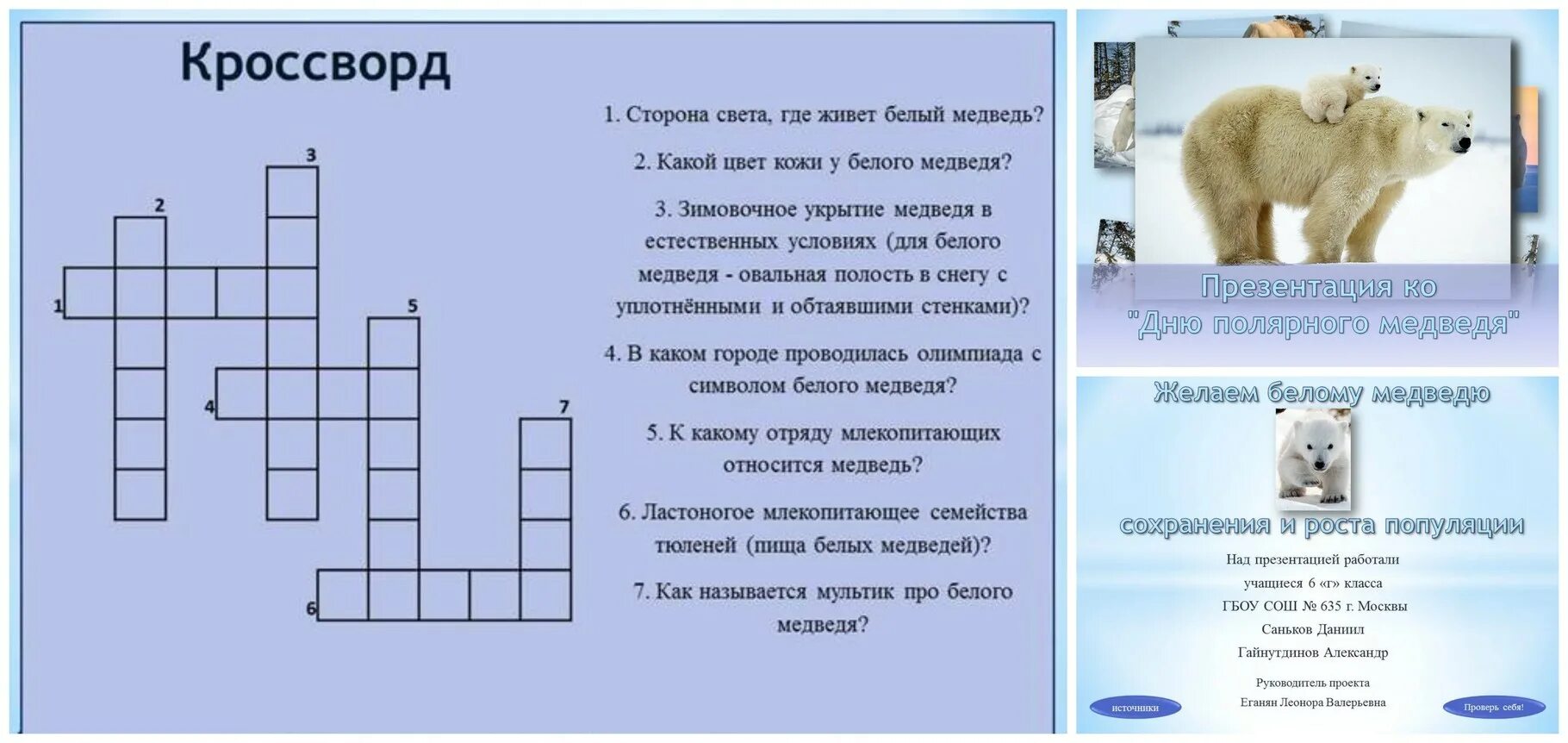 медведица картинка для детей. белый медведь сканворд 5. кроссворд про медведя. белый медведь фото. белый медведь и полярный медведь.