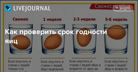 Срок годности яиц в магазине в холодильнике