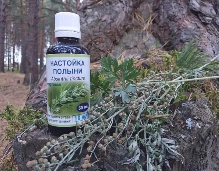 Как сделать настойку полыни