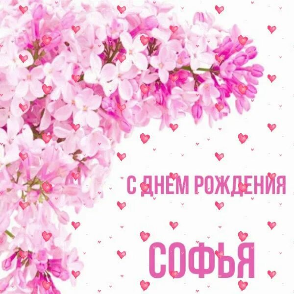 С днем рождения девочке софии. С днем рождения девочке софии
