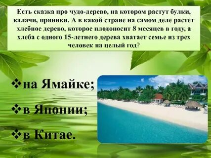 Дело росло